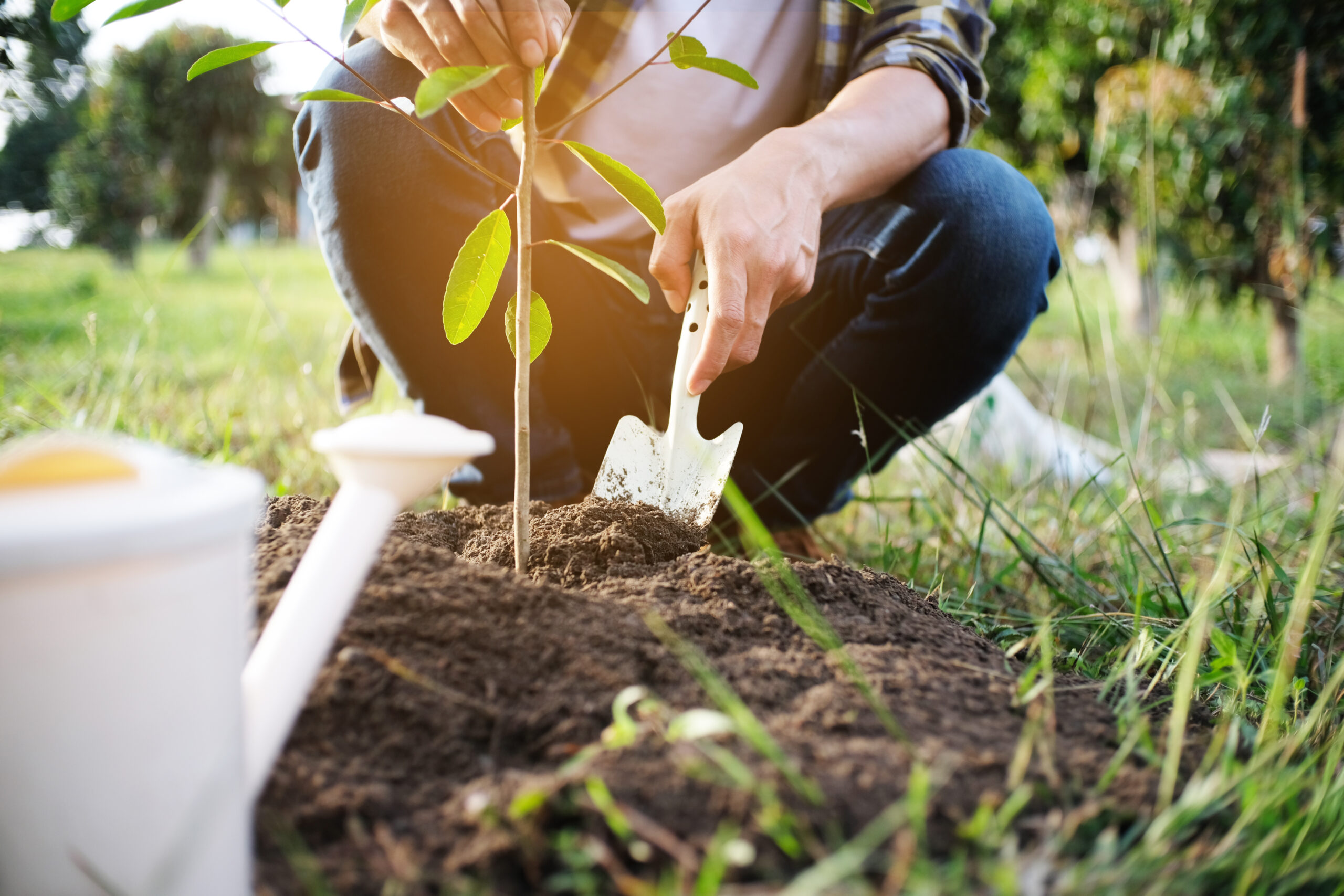 How To Learn About Gardening